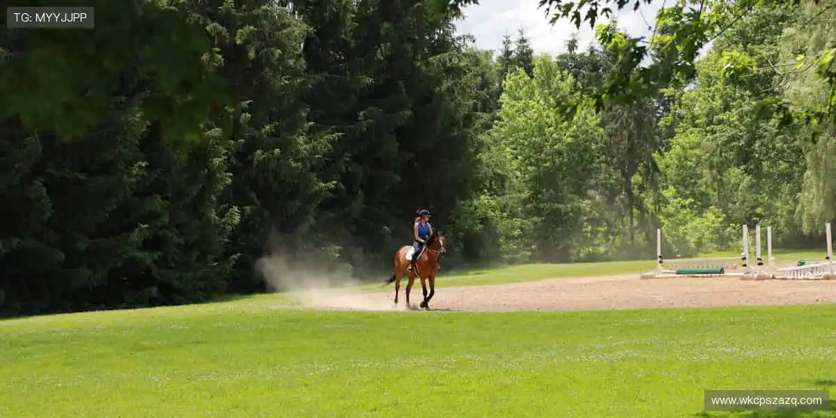 🎁 限量周边，手慢无！正版授权好物，让热爱触手可及！